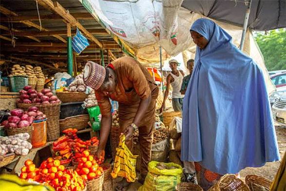ArketData’s Food Pricing Platform Could Transform Nigeria’s Grocery Market