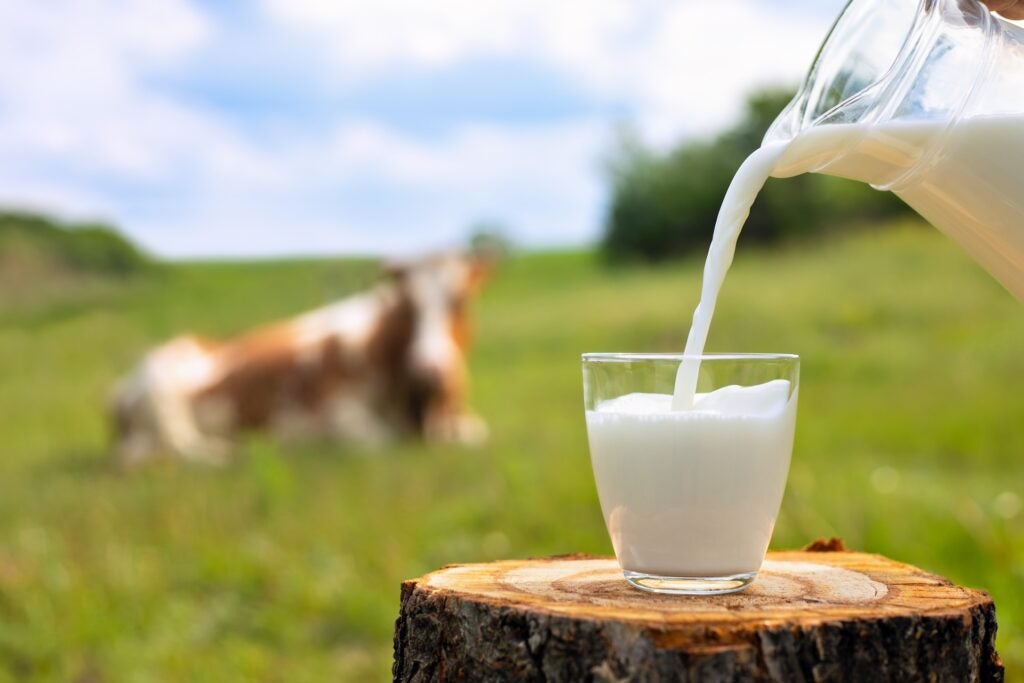 Milk Wars in Nigeria (2026): Flipbz Market Report Exposes Who's Really Winning the Battle for Household Trust