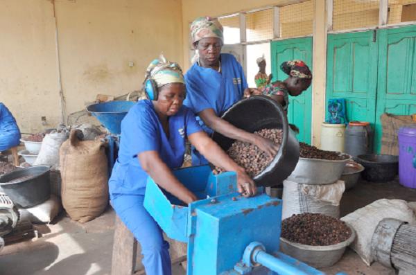 CropSafe Lands Miller Center Backing to Cut Nigeria's $8 Billion Post-Harvest Loss Problem