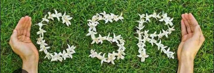 Corporate Social Responsibility in Business: Why it Matters