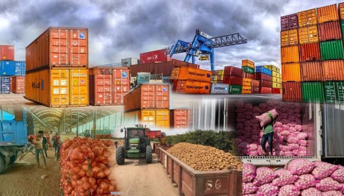 10 Best Export Businesses in Nigeria