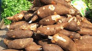 10 Best Cassava Processing Companies in Nigeria