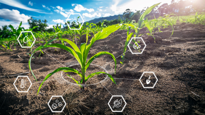 10  Best Agri-Tech Companies in Nigeria