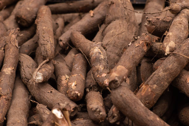 OGUJI AGRO INTERNATIONAL LTD