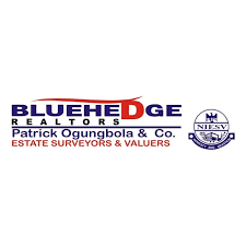 Professional Agency Suites – Bluehedge Realtors