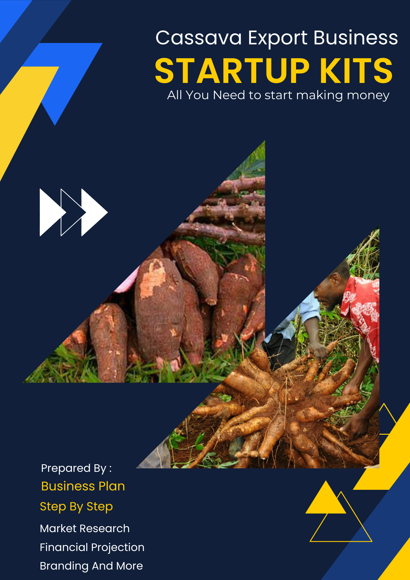 Cassava Export Business Startup Kits